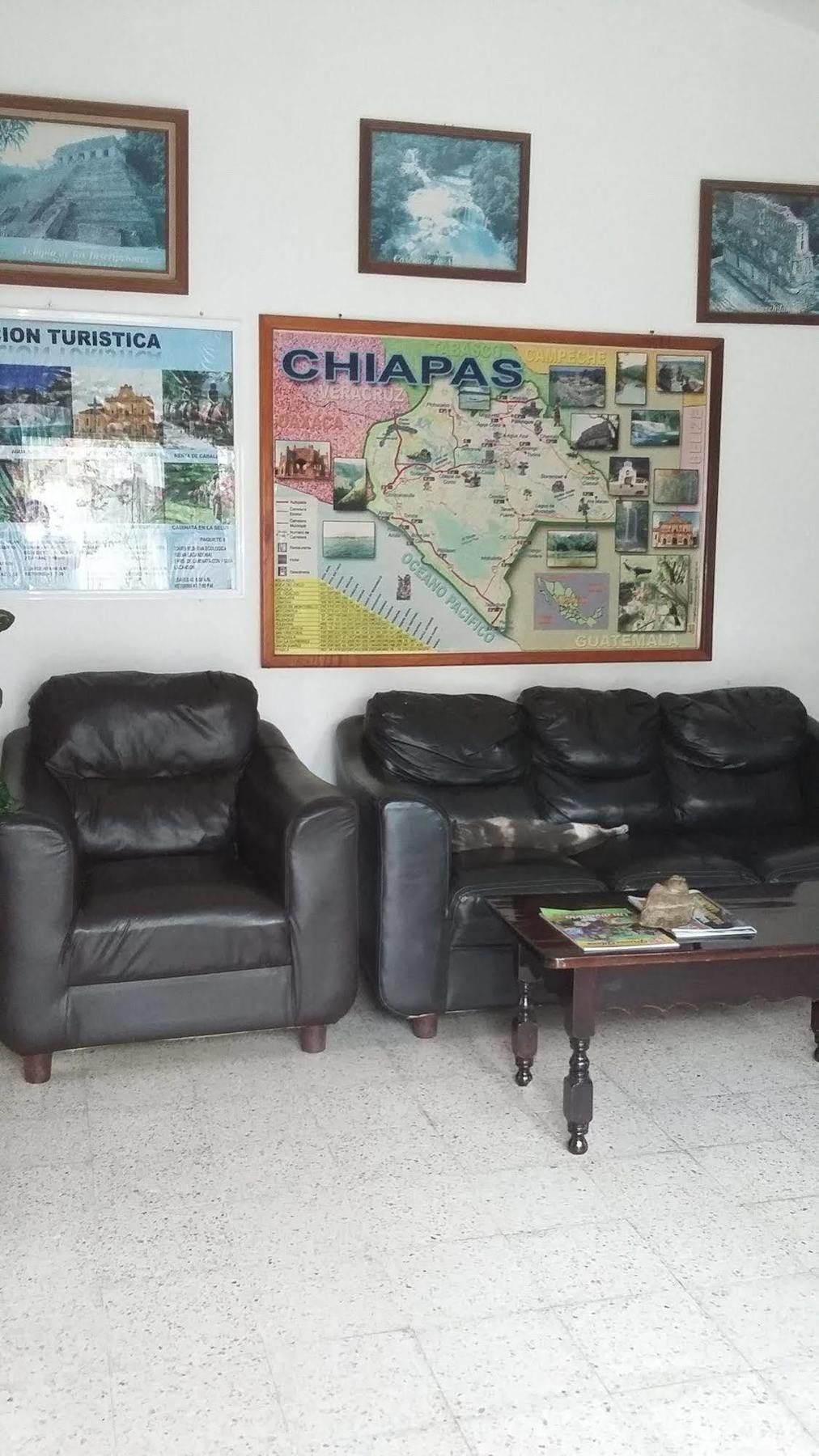 Hotel Mallorca Palenque Zewnętrze zdjęcie