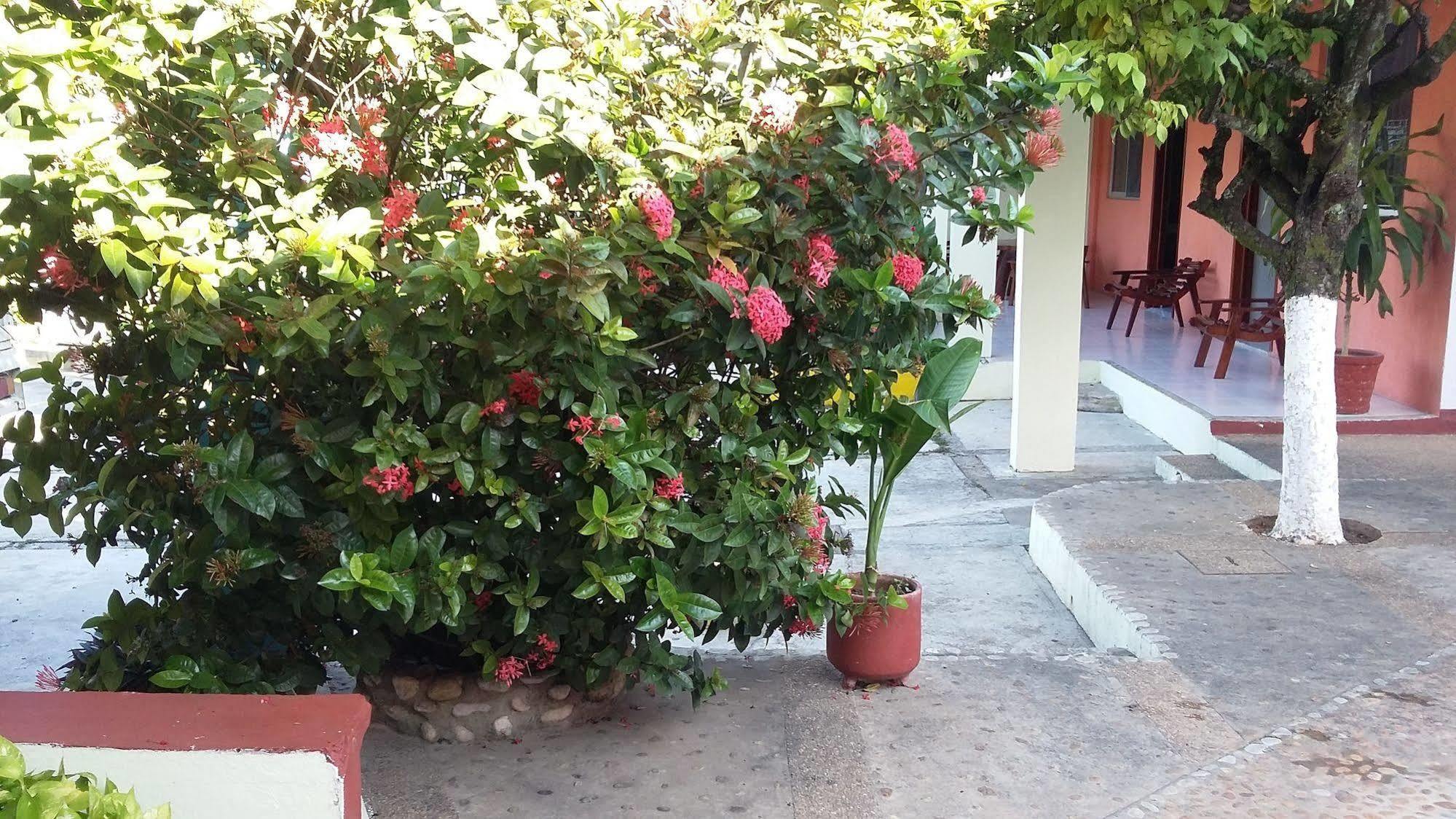 Hotel Mallorca Palenque Zewnętrze zdjęcie